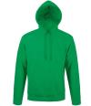 47101 Unisex Snake Hooded Sweatshirt Kelly Green colour image